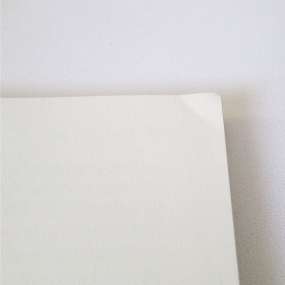 Jim Newport 3 Paperback Book Lot Vampire Of Siam Series Reckoning Ramonne 2000s - Picture 5 of 13